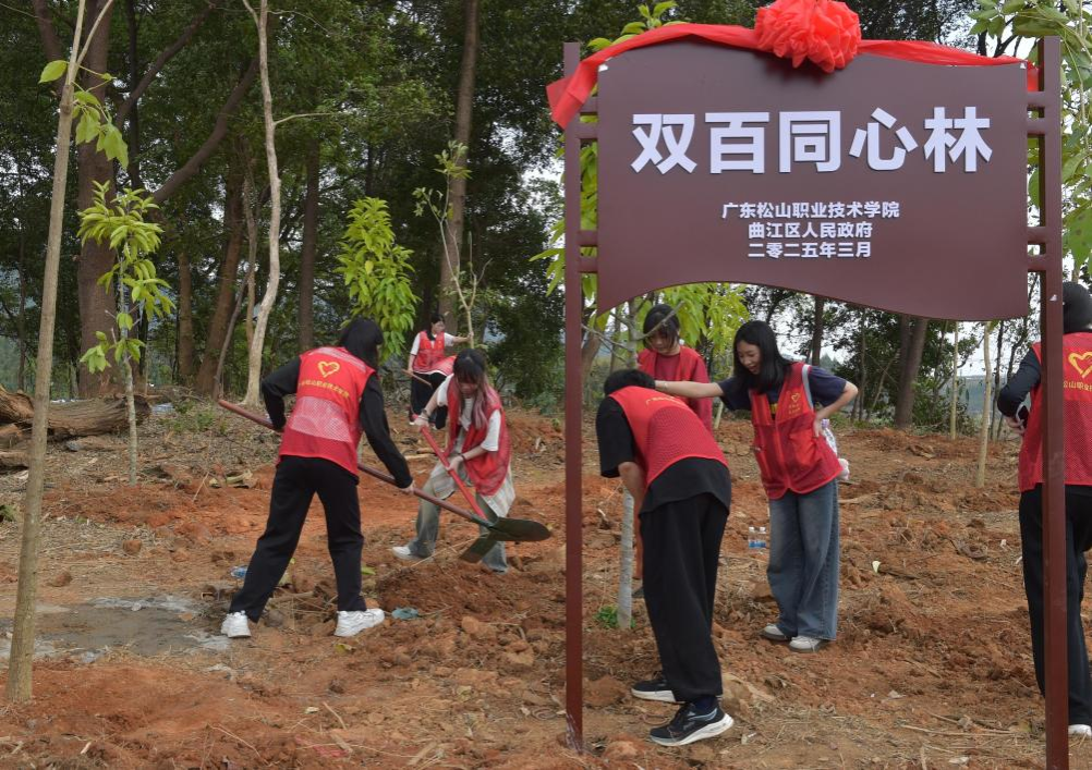 1C6D06