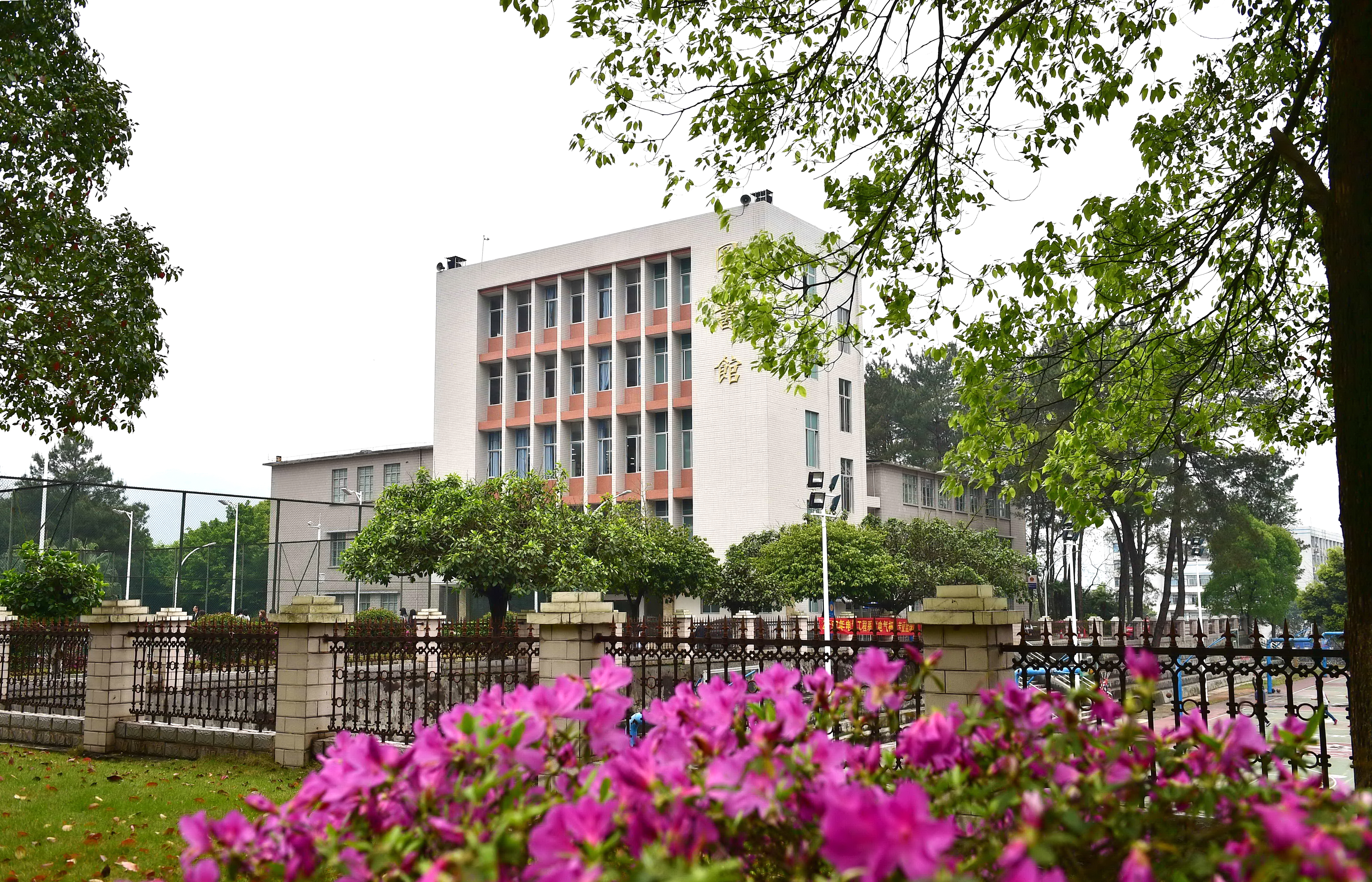 春到松山3 .图书馆56767 张少丰.jpg