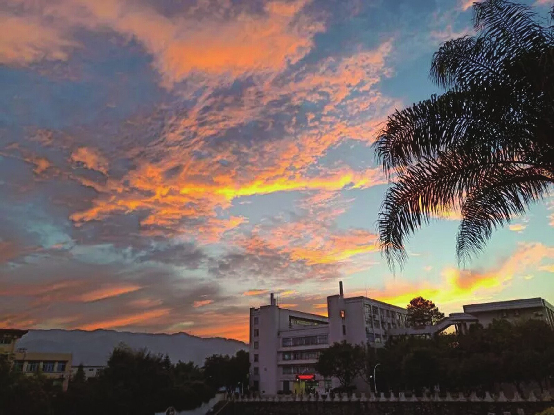 夕照 黄晓宜.jpg